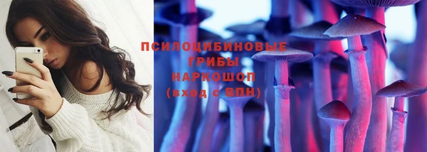 гашик Алексеевка
