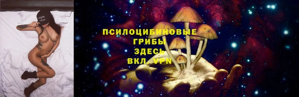 гашик Алексеевка