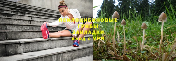 спиды Алзамай