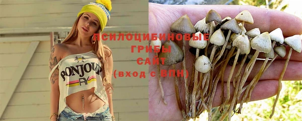 гашик Алексеевка
