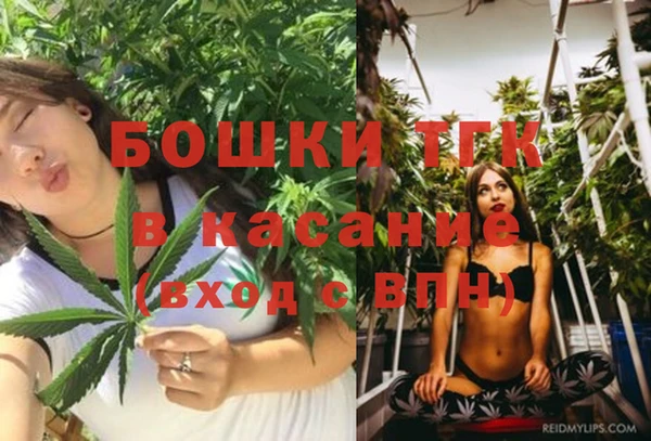 гашик Алексеевка