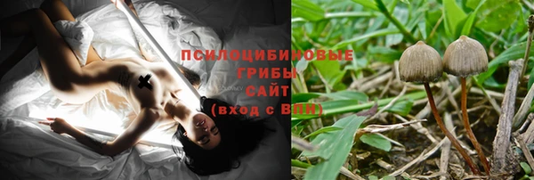 тгк Пролетарск