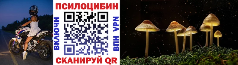 купить наркоту  гидра зеркало  Псилоцибиновые грибы ЛСД  Глазов 