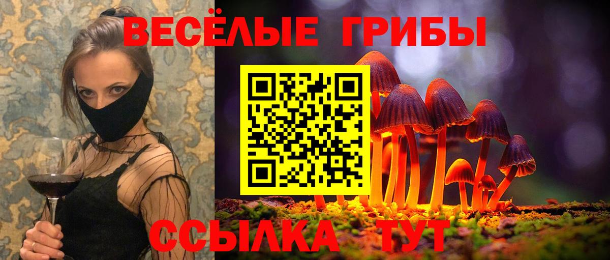 Глазов  Галлюциногенные грибы Psilocybine cubensis  как найти   Вход с VPN 