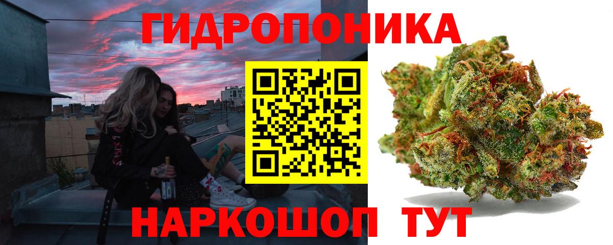 Бошки Шишки MAZAR Глазов